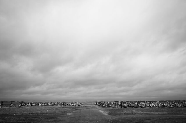 Chernihiv Ukraine, the city's largest cemetery .